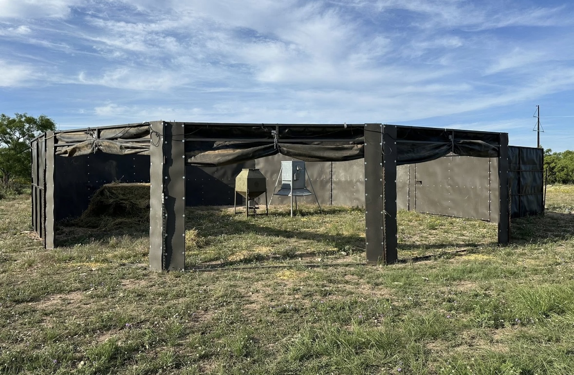 Portable capture pen set up in open pasture with feeders